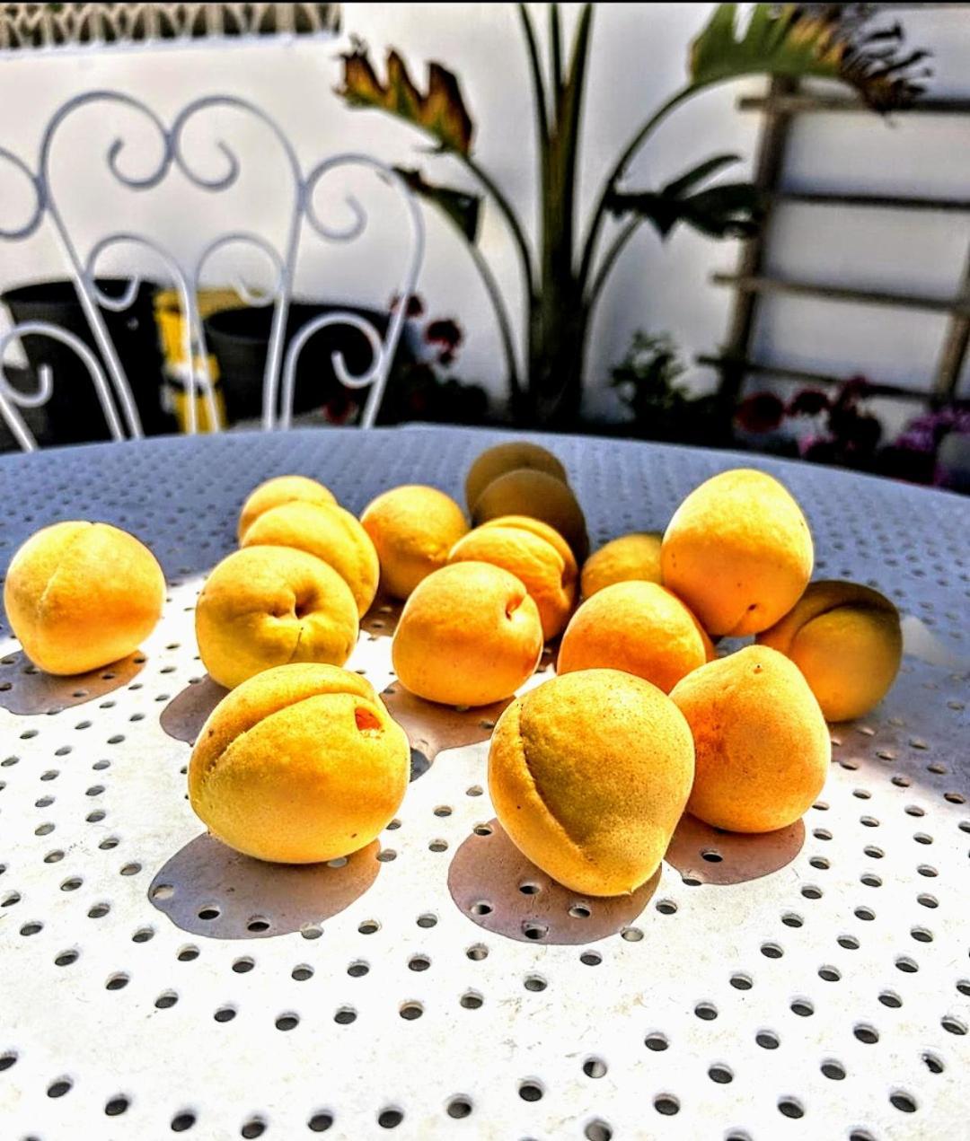 Casa Dei Frutti Di Ostuni Apartment Bagian luar foto